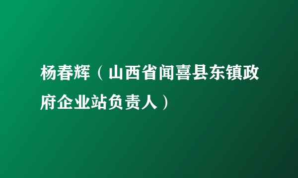 杨春辉（山西省闻喜县东镇政府企业站负责人）