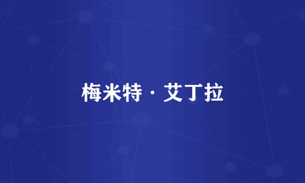 梅米特·艾丁拉