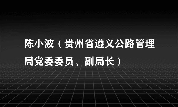 陈小波（贵州省遵义公路管理局党委委员、副局长）