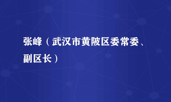 张峰（武汉市黄陂区委常委、副区长）