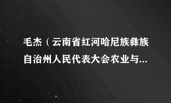 毛杰（云南省红河哈尼族彝族自治州人民代表大会农业与农村委员会副主任委员）