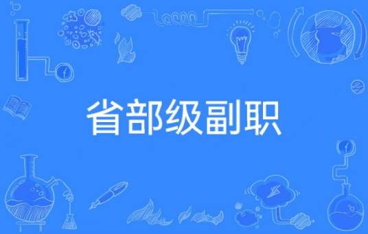 省部级副职