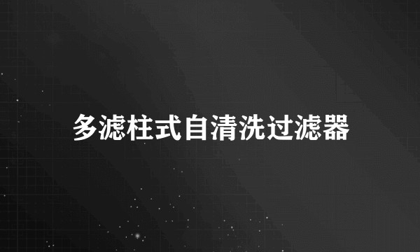 多滤柱式自清洗过滤器