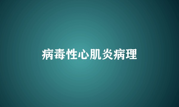病毒性心肌炎病理
