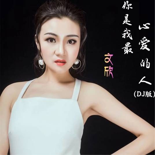 你是我最心爱的人（你是我最心爱的人（文欣演唱歌曲））