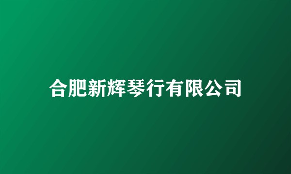 合肥新辉琴行有限公司