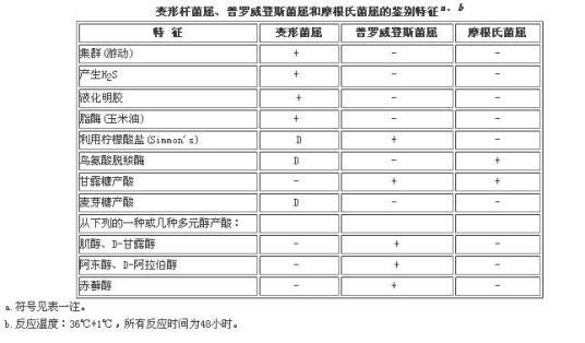 普罗威登斯菌属