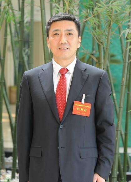 魏臻(第十四届全国人大代表,合肥工大高科信息科技股份有限公司董事长)