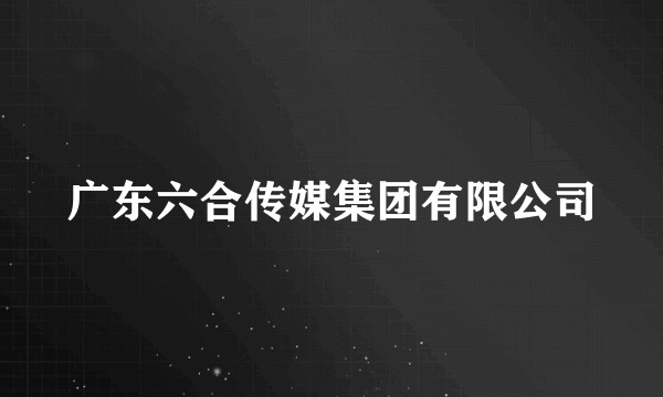 广东六合传媒集团有限公司