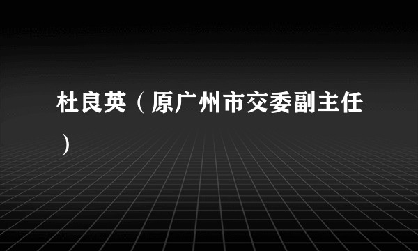 杜良英（原广州市交委副主任）