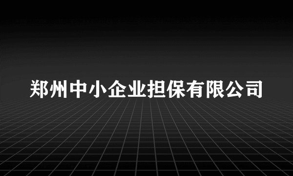 郑州中小企业担保有限公司
