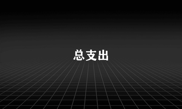总支出