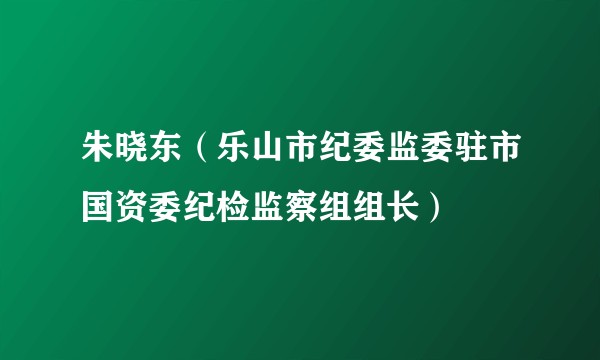 朱晓东（乐山市纪委监委驻市国资委纪检监察组组长）