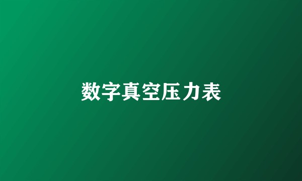 数字真空压力表