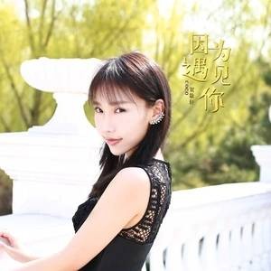 因为遇见你（贺敬轩演唱歌曲）