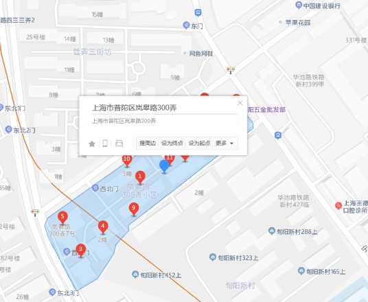 岚皋路300弄
