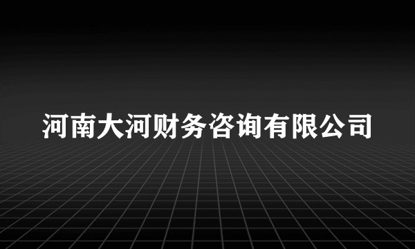 河南大河财务咨询有限公司