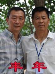 丰年（2011年白羽执导电影）