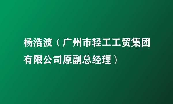 杨浩波（广州市轻工工贸集团有限公司原副总经理）