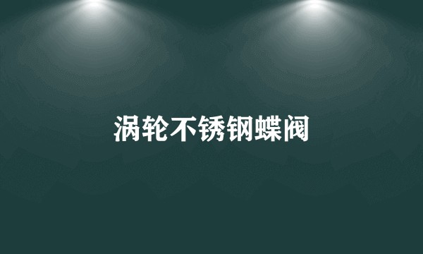涡轮不锈钢蝶阀