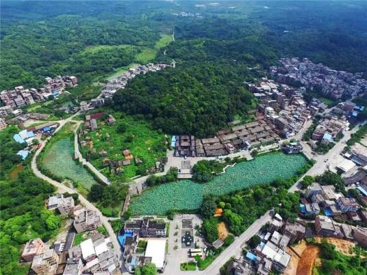 莲塘村(广东省广州市黄埔区九佛街道下辖村)