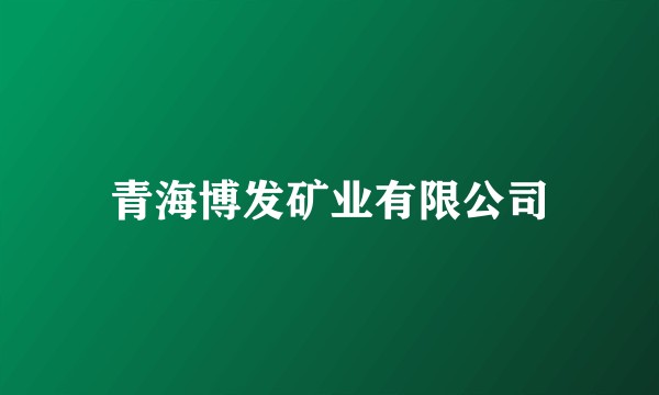 青海博发矿业有限公司
