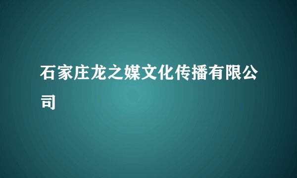 石家庄龙之媒文化传播有限公司