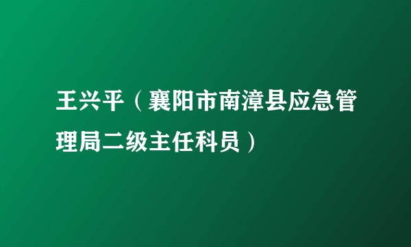 王兴平（襄阳市南漳县应急管理局二级主任科员）