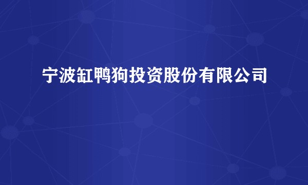 宁波缸鸭狗投资股份有限公司
