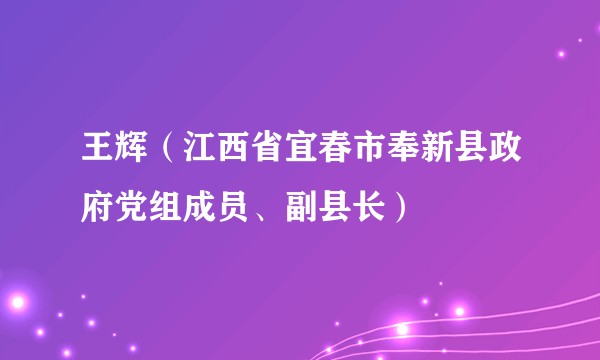 王辉（江西省宜春市奉新县政府党组成员、副县长）