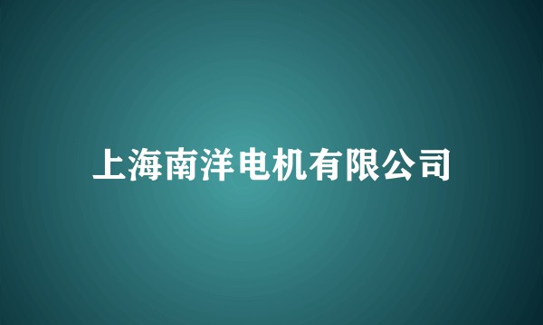 上海南洋电机有限公司