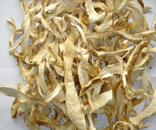 松茸干片