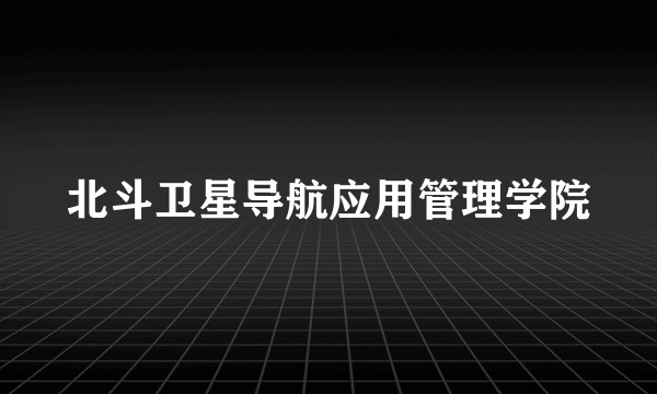 北斗卫星导航应用管理学院