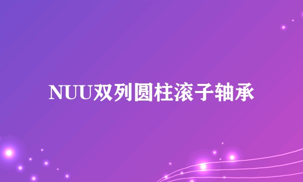 NUU双列圆柱滚子轴承