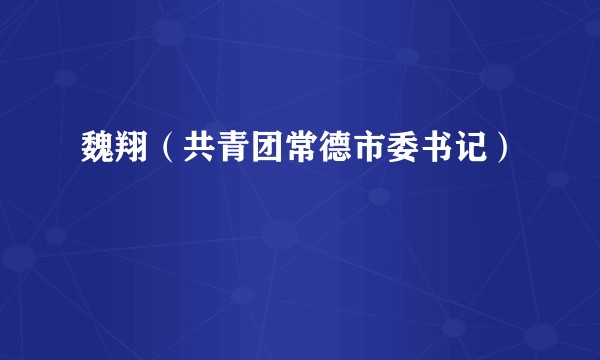 魏翔（共青团常德市委书记）