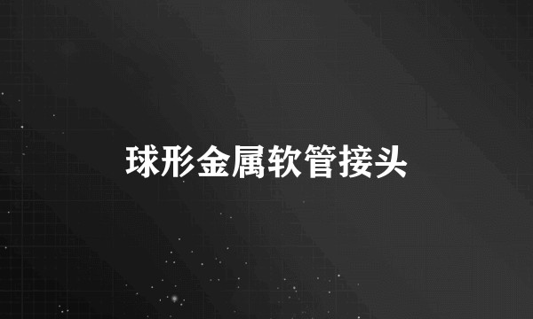 球形金属软管接头