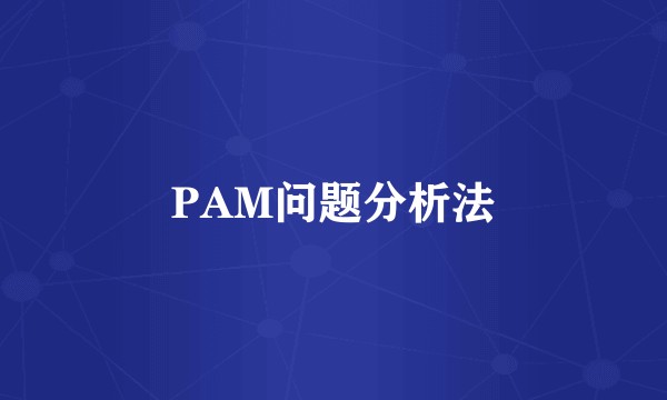 PAM问题分析法