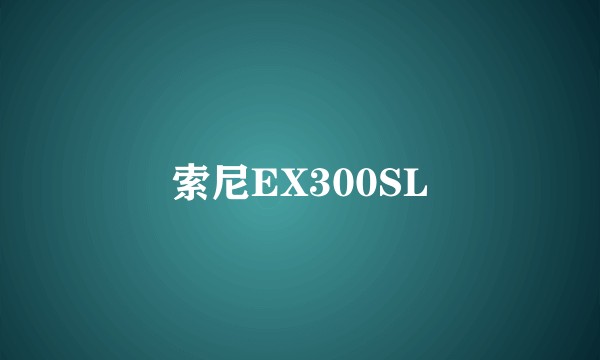 索尼EX300SL