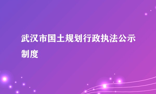 武汉市国土规划行政执法公示制度