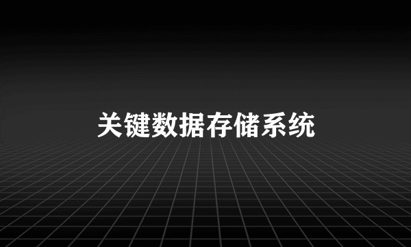关键数据存储系统