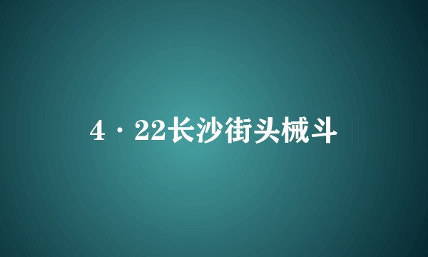 4·22长沙街头械斗