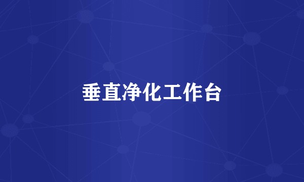 垂直净化工作台