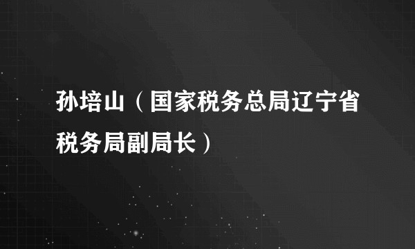 孙培山（国家税务总局辽宁省税务局副局长）