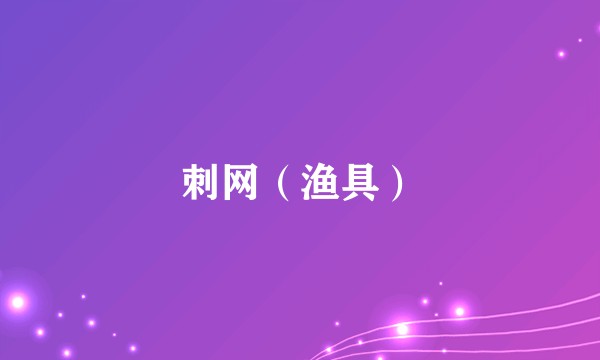 刺网（渔具）