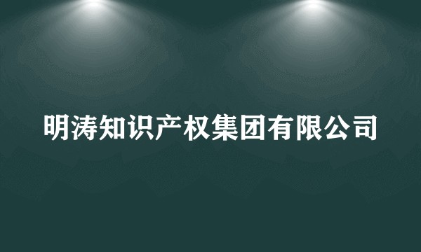 明涛知识产权集团有限公司