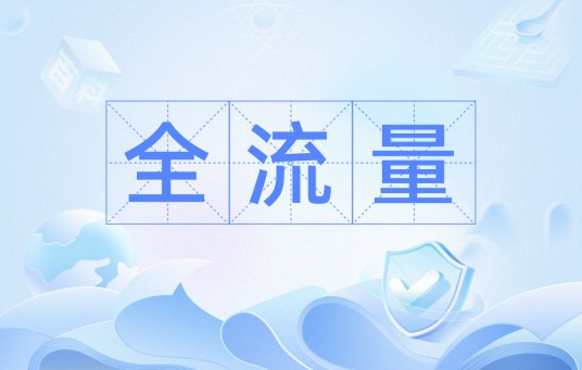 全流量