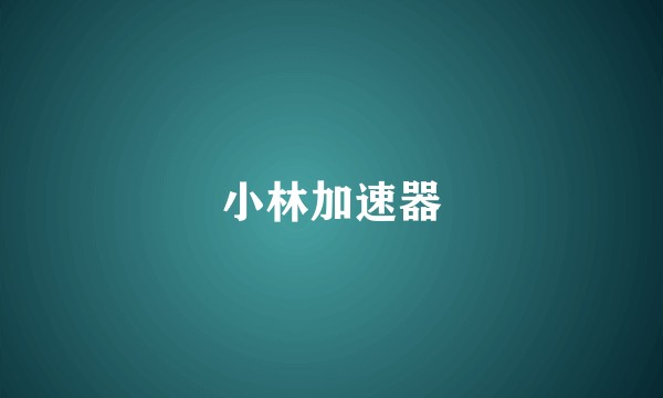 小林加速器