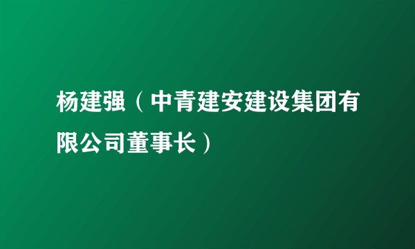 杨建强（中青建安建设集团有限公司董事长）
