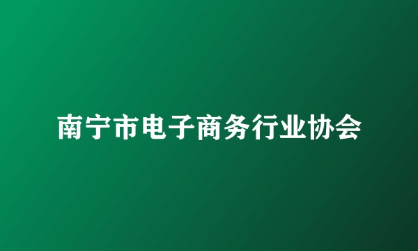 南宁市电子商务行业协会