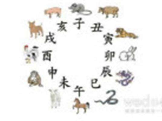 大生肖
